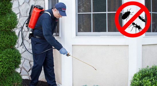 Gaziosmanpaşa Böcek ve Haşere İlaçlama böcek ilaçlama ve haşere kontrolü — ilaclama-tr.com